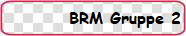 BRM Gruppe 2