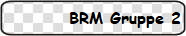 BRM Gruppe 2